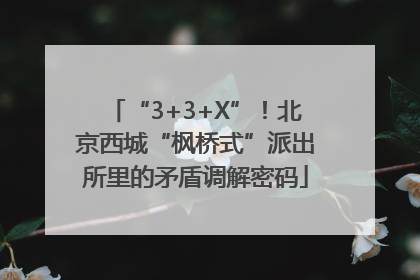 “3+3+X”！北京西城“枫桥式”派出所里的矛盾调解密码