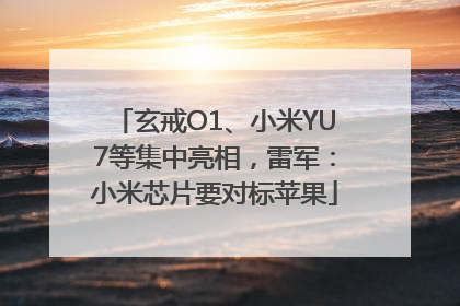 玄戒O1、小米YU7等集中亮相，雷军：小米芯片要对标苹果