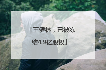 王健林，已被冻结4.9亿股权