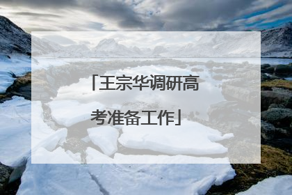 王宗华调研高考准备工作