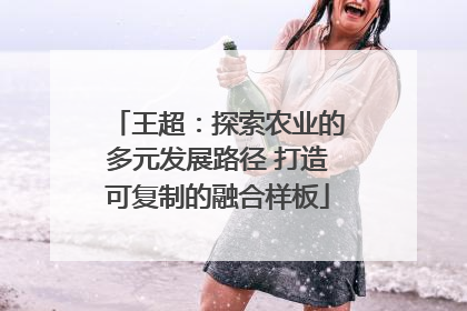 王超：探索农业的多元发展路径 打造可复制的融合样板