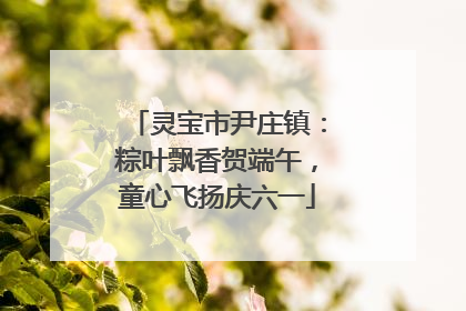 灵宝市尹庄镇：粽叶飘香贺端午，童心飞扬庆六一