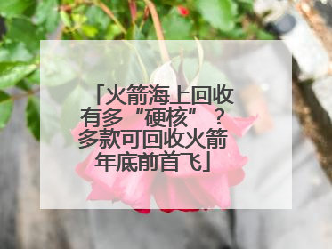 火箭海上回收有多“硬核”？多款可回收火箭年底前首飞