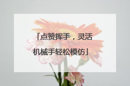 点赞挥手，灵活机械手轻松模仿