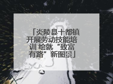 炎陵县十都镇开展劳动技能培训 绘就“致富有路”新图景