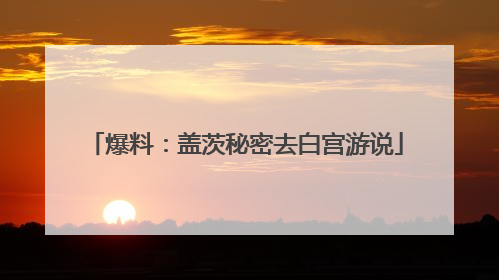 爆料：盖茨秘密去白宫游说
