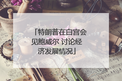 特朗普在白宫会见鲍威尔 讨论经济发展情况