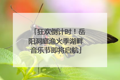 狂欢倒计时！岳阳洞庭渔火季湖畔音乐节即将启航