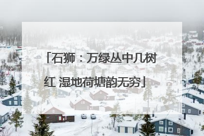 石狮：万绿丛中几树红 湿地荷塘韵无穷