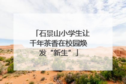 石景山小学生让千年茶香在校园焕发“新生”