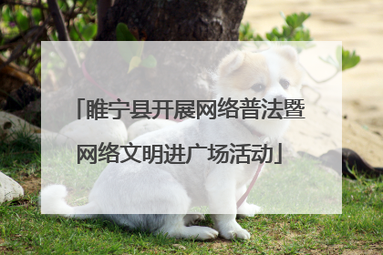 睢宁县开展网络普法暨网络文明进广场活动