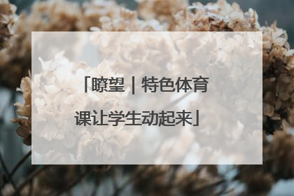 瞭望｜特色体育课让学生动起来