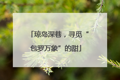 琼岛深巷，寻觅“包罗万象”的甜