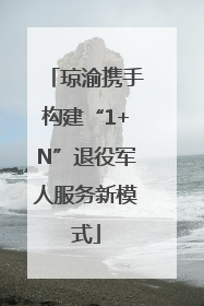 琼渝携手构建“1+N”退役军人服务新模式