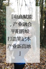 电商赋能，产业融合 平阳腾蛟打造笔记本产业新高地