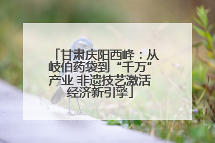 甘肃庆阳西峰：从岐伯药袋到“千万”产业 非遗技艺激活经济新引擎