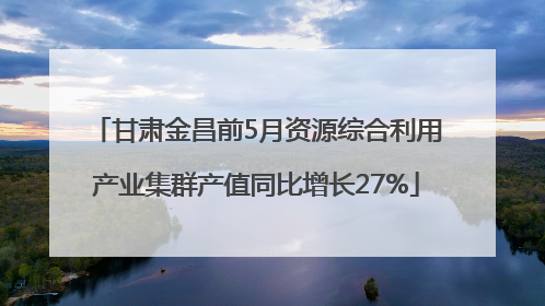 甘肃金昌前5月资源综合利用产业集群产值同比增长27%