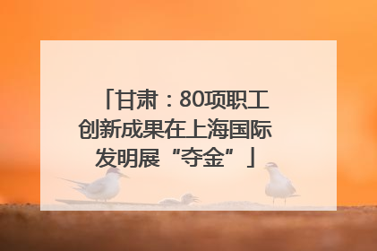 甘肃：80项职工创新成果在上海国际发明展“夺金”
