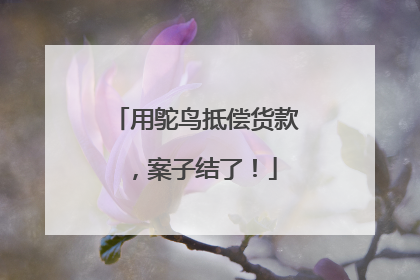 用鸵鸟抵偿货款，案子结了！