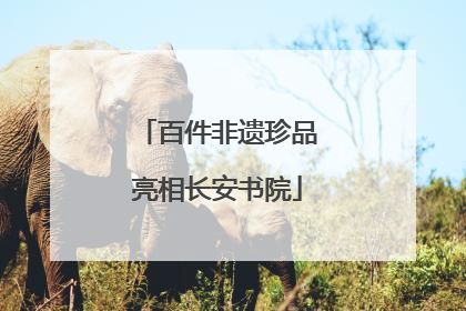 百件非遗珍品亮相长安书院