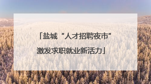 盐城“人才招聘夜市”激发求职就业新活力
