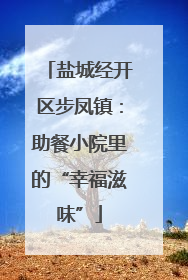 盐城经开区步凤镇：助餐小院里的“幸福滋味”