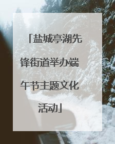 盐城亭湖先锋街道举办端午节主题文化活动