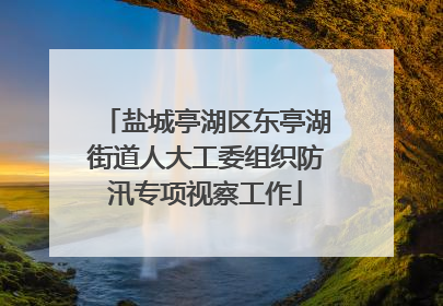 盐城亭湖区东亭湖街道人大工委组织防汛专项视察工作