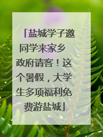 盐城学子邀同学来家乡 政府请客！这个暑假，大学生多项福利免费游盐城
