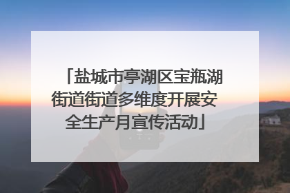 盐城市亭湖区宝瓶湖街道街道多维度开展安全生产月宣传活动