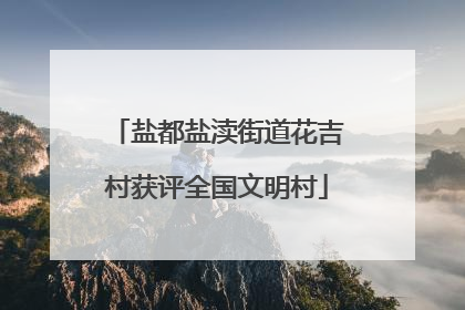 盐都盐渎街道花吉村获评全国文明村