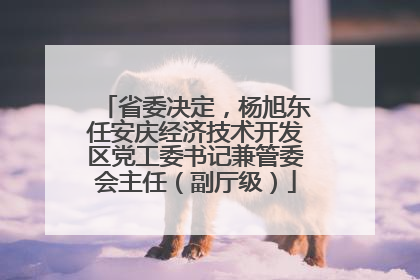 省委决定，杨旭东任安庆经济技术开发区党工委书记兼管委会主任（副厅级）