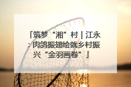 筑梦“湘”村｜江永：肉鸽振翅绘就乡村振兴“金羽画卷”