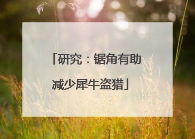 研究：锯角有助减少犀牛盗猎