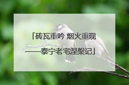 砖瓦重吟 烟火重现——泰宁老宅涅槃记