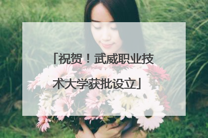 祝贺！武威职业技术大学获批设立