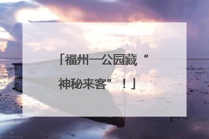 福州一公园藏“神秘来客”！