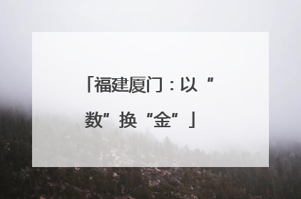 福建厦门：以“数”换“金”