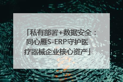 私有部署+数据安全：同心雁S-ERP守护医疗器械企业核心资产