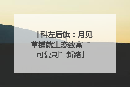 科左后旗：月见草铺就生态致富“可复制”新路