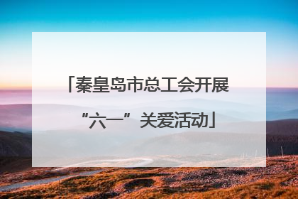 秦皇岛市总工会开展“六一”关爱活动