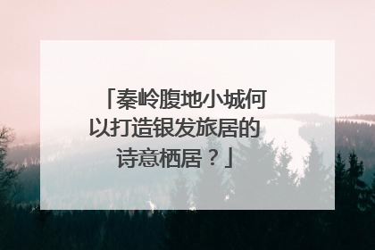 秦岭腹地小城何以打造银发旅居的诗意栖居？