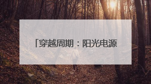 穿越周期：阳光电源PhD Talk解码光储价值进化路径