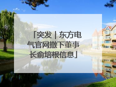 突发｜东方电气官网撤下董事长俞培根信息