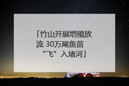竹山开展增殖放流 30万尾鱼苗“飞”入堵河