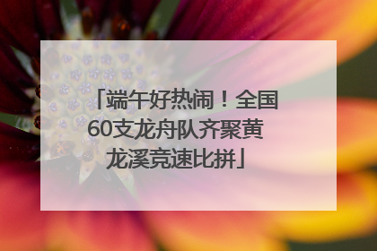 端午好热闹！全国60支龙舟队齐聚黄龙溪竞速比拼