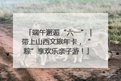 端午邂逅“六一”｜带上山西文旅年卡，“粽”享欢乐亲子游！