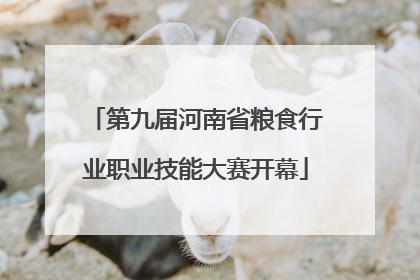 第九届河南省粮食行业职业技能大赛开幕
