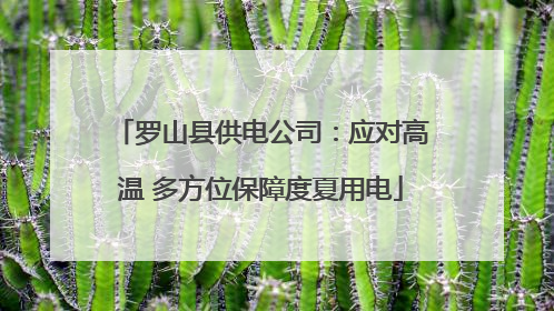 罗山县供电公司：应对高温 多方位保障度夏用电
