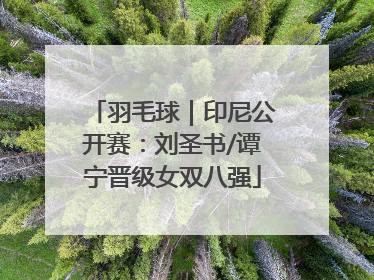 羽毛球｜印尼公开赛：刘圣书/谭宁晋级女双八强
